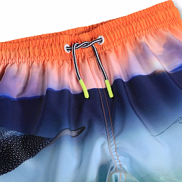 Шорты Niko Into The Sunset от бренда MOLO