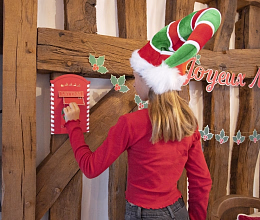 Почтовый ящик для писем Деду Морозу от бренда Tim & Puce Factory