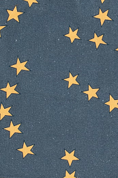 Джинсы STARS BAGGY от бренда Tinycottons