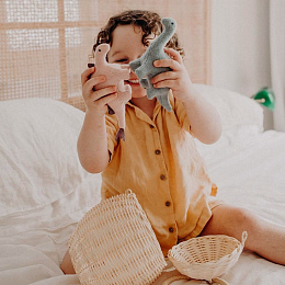 Мягкие игрушки Динозавры в подарочной коробке от бренда Olli Ella