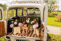 Боди Apple от бренда Sproet & Sprout