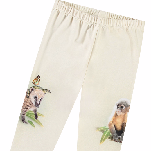 Легинсы Simway Friendly Jungle от бренда MOLO