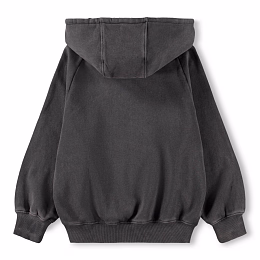 Худи Mic Raven от бренда MOLO