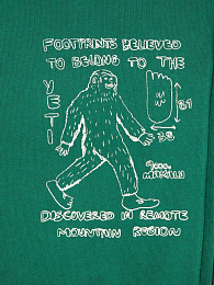 Толстовка Mr. Footish от бренда Bobo Choses