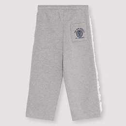 Штаны Ash Jogging Mid Grey Melange от бренда The New Society