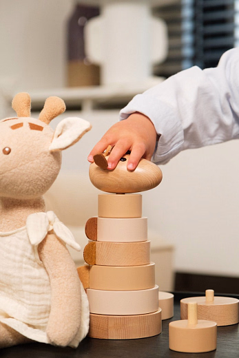 Пирамидка Жираф Леони от бренда Egmont Toys