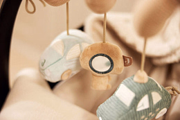 Развивающая спираль Машинка от бренда Jollein