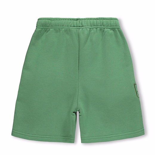 Шорты Amil Groovy Green от бренда MOLO
