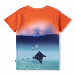 Футболка Raul Into The Sunset от бренда MOLO Оранжевый Голубой