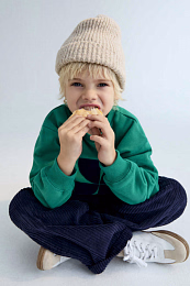 Штаны Nicol Infinite Navy от бренда The New Society