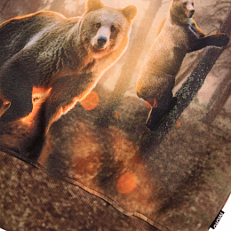 Свитшот Mattis Honey Bears от бренда MOLO