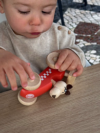 Гоночная машина с собакой от бренда Egmont Toys