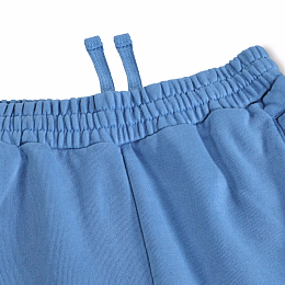 Шорты Ador Swell Blue от бренда MOLO