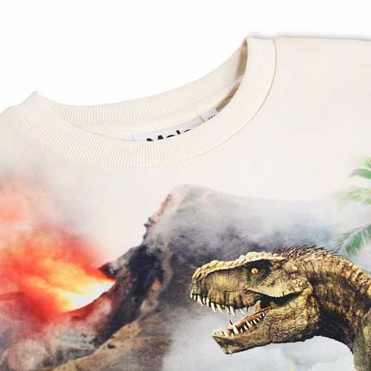 Свитшот Miksi Hot Spring Dinos от бренда MOLO