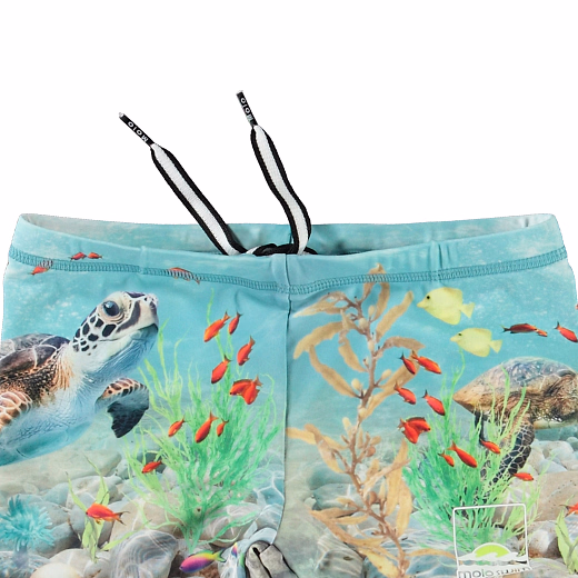 Плавки Norton Placed Happy Ocean от бренда MOLO