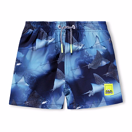 Шорты Niko Into The Blue от бренда MOLO