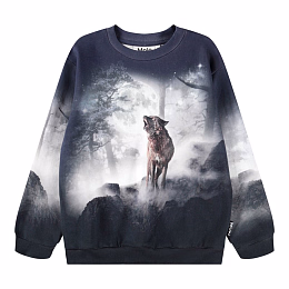 Свитшот Miksi Moonlit Wolves от бренда MOLO