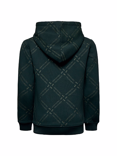 Толстовка Green Logo от бренда Trussardi