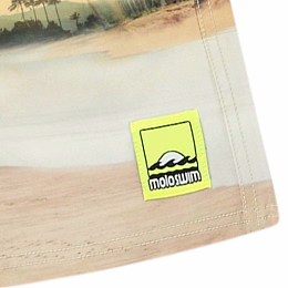 Шорты Nilson Island Surf от бренда MOLO