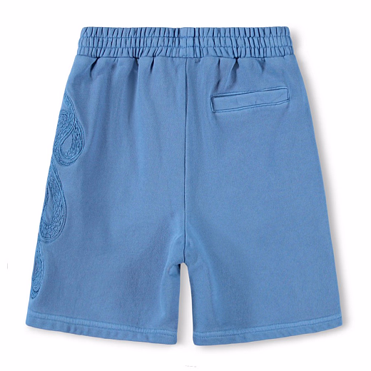 Шорты Ador Swell Blue от бренда MOLO