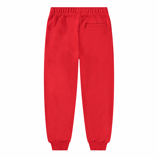 Джоггеры Adani Adrenaline Rush от бренда MOLO