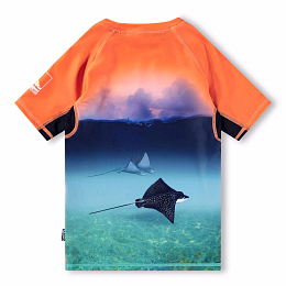 Футболка Neptune Into The Sunset от бренда MOLO