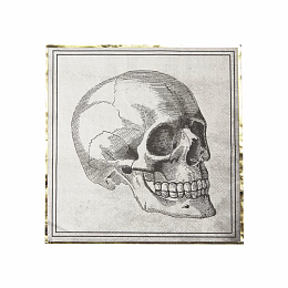 Салфетки Череп 16 шт от бренда Tim & Puce Factory