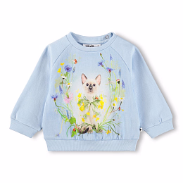 Свитшот Disc Meadow Kitten от бренда MOLO
