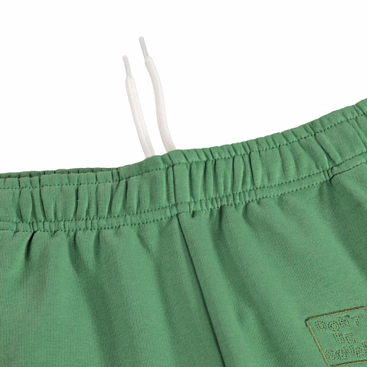 Шорты Amil Groovy Green от бренда MOLO