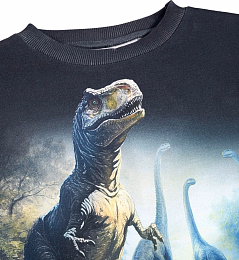 Свитшот Mattis Twilight Dinos от бренда MOLO