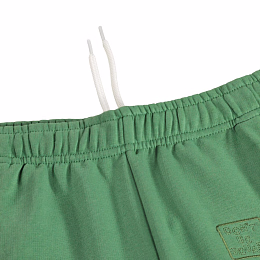 Шорты Amil Groovy Green от бренда MOLO