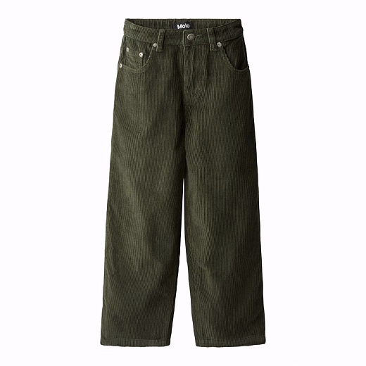 Джинсы Aiden Dark Forest от бренда MOLO
