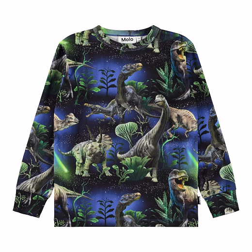 Лонгслив Rill Dinorama от бренда MOLO