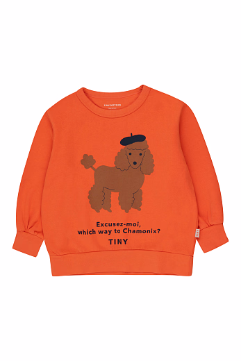 Свитшот TINY POODLE от бренда Tinycottons
