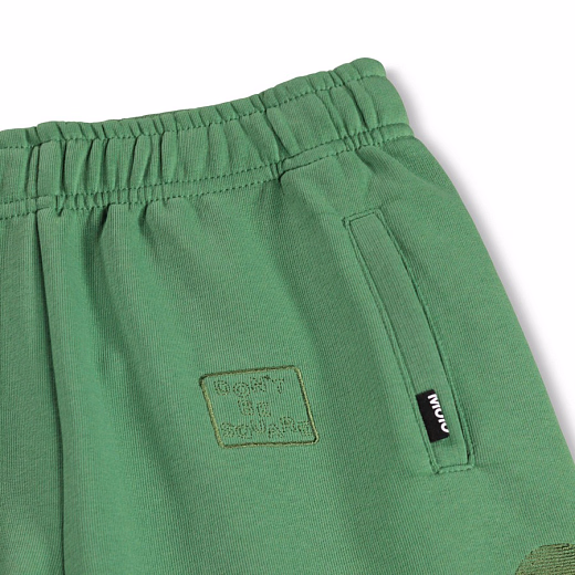 Шорты Amil Groovy Green от бренда MOLO