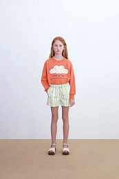 Свитшот ORANGE DOGS от бренда Tinycottons