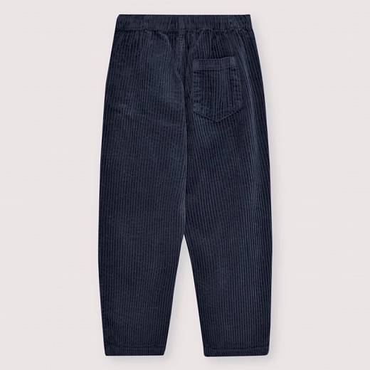 Штаны Nicol Infinite Navy от бренда The New Society