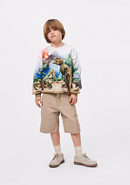 Свитшот Miksi Hot Spring Dinos от бренда MOLO