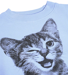 Свитшот Marge Blue Kitten от бренда MOLO