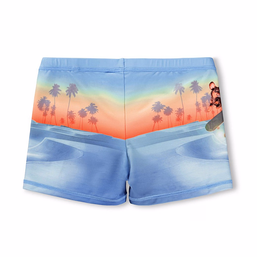 Плавки Norton Placed Skate Fun от бренда MOLO