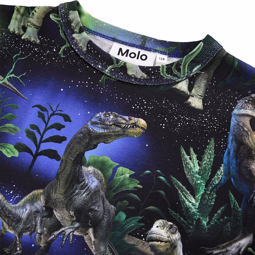 Лонгслив Rill Dinorama от бренда MOLO
