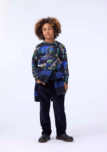 Лонгслив Rill Dinorama от бренда MOLO