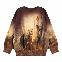 Свитшот Mattis Honey Bears от бренда MOLO