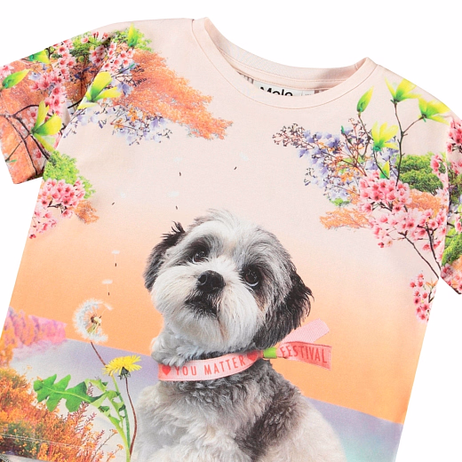 Футболка Raeesa Festivalgoers от бренда MOLO Разноцветный