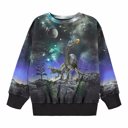 Свитшот Mattis Dino Drama от бренда MOLO