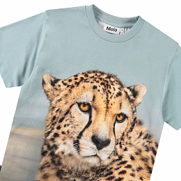 Футболка Rubin Big Cheetah Blue от бренда MOLO Голубой