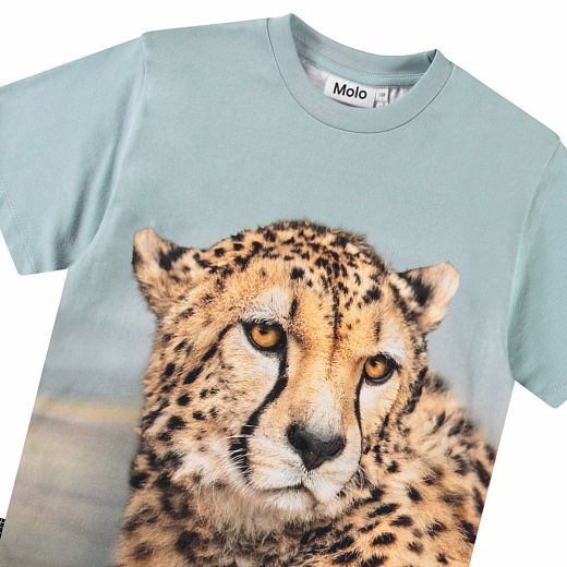 Футболка Rubin Big Cheetah Blue от бренда MOLO Голубой