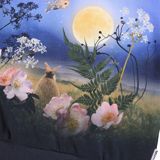 Свитшот Maxi Magic Moonrise от бренда MOLO