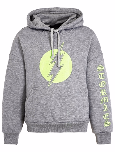 Худи Flash Grey Green от бренда Stormies