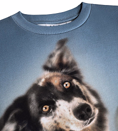 Футболка Riley Doggy Duo от бренда MOLO Синий